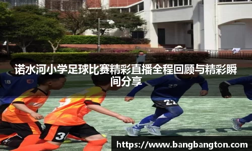 杏彩娱乐官网入口