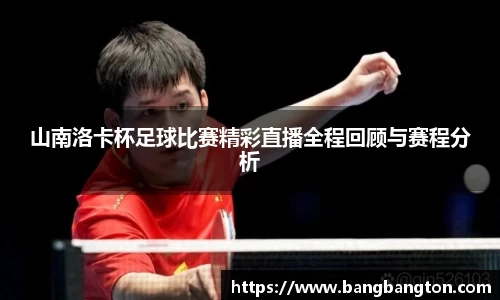 杏彩娱乐手机网页版登录