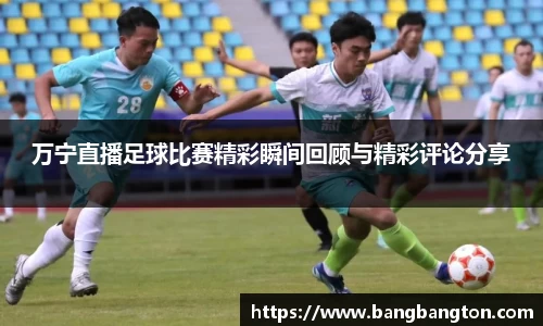 杏彩娱乐最新地址