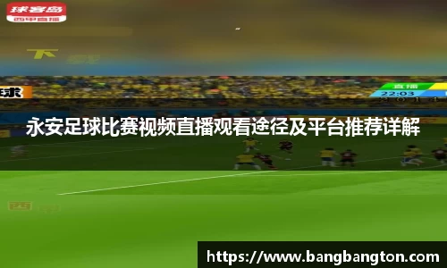 杏彩娱乐官网版