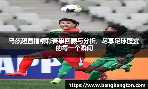 杏彩娱乐官网入口