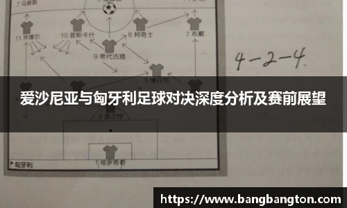 杏彩娱乐最新地址