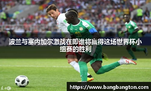 杏彩娱乐官网版