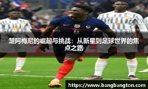 杏彩娱乐手机网页版登录